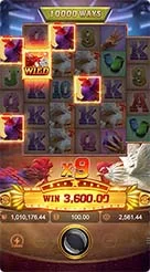 rprr · Rooster Rbl
